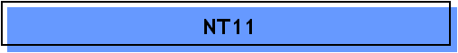 NT11